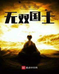 北宋之无双国士