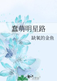 蠢萌明星路