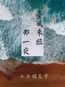 台风来临那一夜